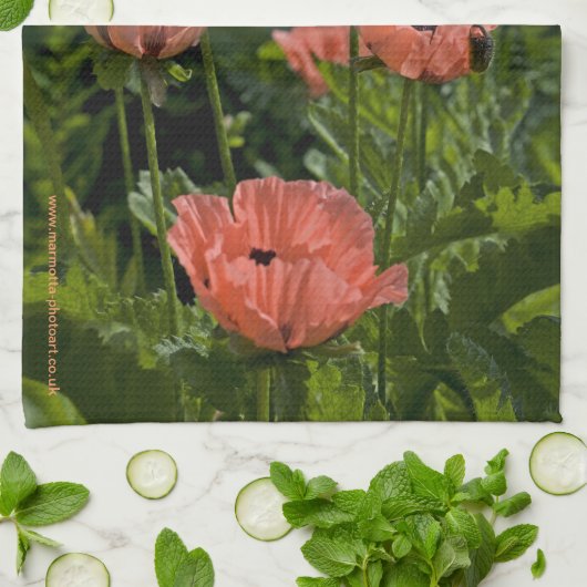 Candy Pops Küchentücher (Gefaltet)