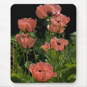 Candy Pops Mousemat Mousepad