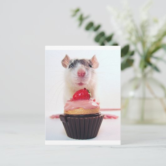 Candy Rat Postkarte (Stehend Vorderseite)