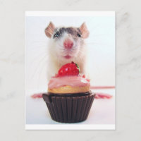 Candy Rat