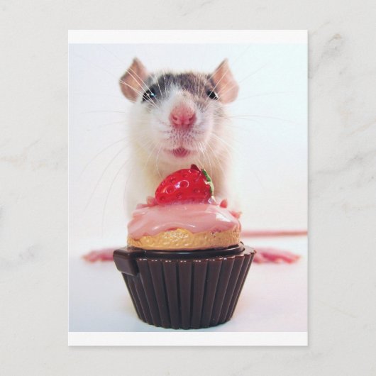 Candy Rat Postkarte (Vorderseite)