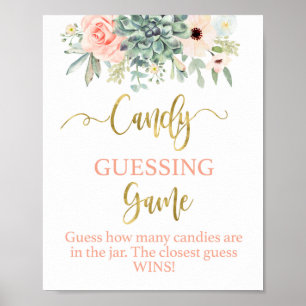 Candy Ratings Spiel succulcules Zeichen Poster