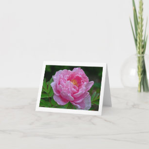 "CANDY-ROSA PÄONIE" KARTEN (FOTO)