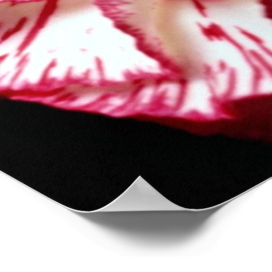 Candy-Strip-Blume Poster (Ecke)