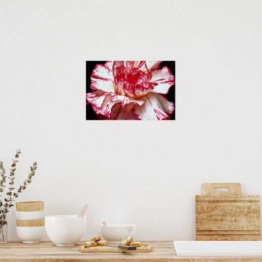 Candy-Strip-Blume Poster (Küche)