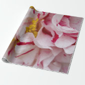 Candy Striped Camellia Wrapping Paper Geschenkpapier (Ungerollt)