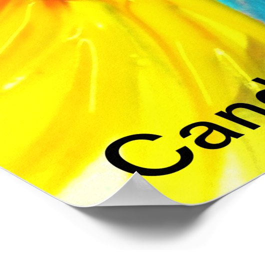 Candy Waters Autisst Artist Poster (Ecke)