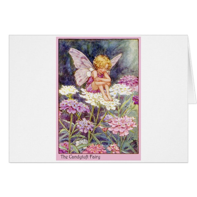 Candytuft Fairy (Vorderseite (Horizontal))