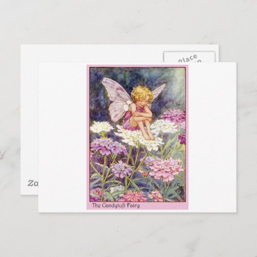 Candytuft Fairy Postkarte (Vorne/Hinten)