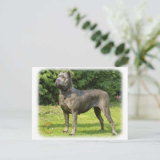 Cane Corso 8R056D-05 Postkarte (Stehend Vorderseite)