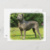 Cane Corso 8R056D-05 Postkarte (Vorne/Hinten)
