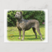 Cane Corso 8R056D-05 Postkarte (Vorderseite)