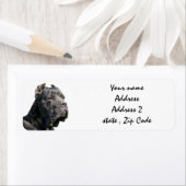 Cane corso-Adressetiketten (Insitu)