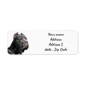 Cane corso-Adressetiketten (Vorne)