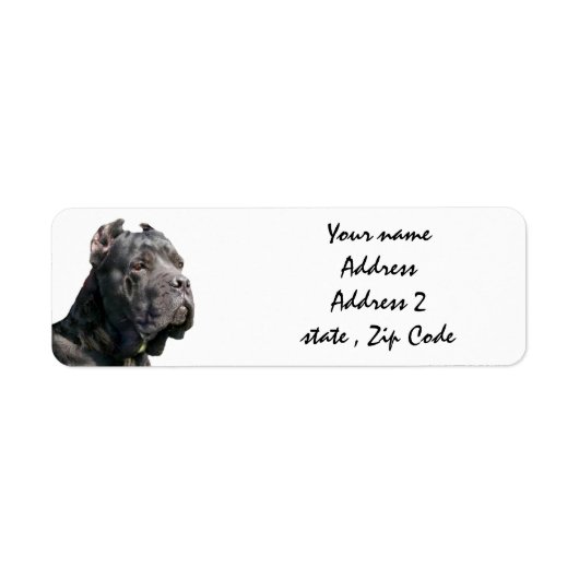 Cane corso-Adressetiketten (Vorne)