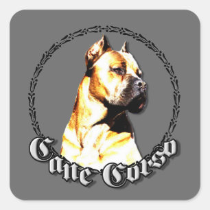 Cane-Corso-Aufkleber Quadratischer Aufkleber