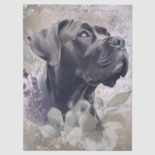 Cane Corso Blumenhund Seidenpapier