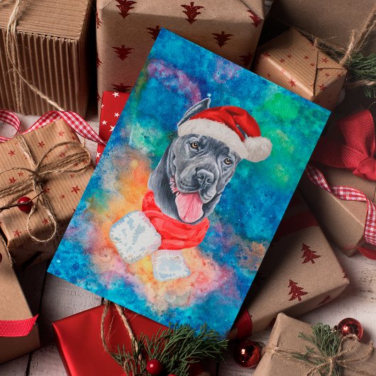 Cane Corso Breed Dog Weihnachten