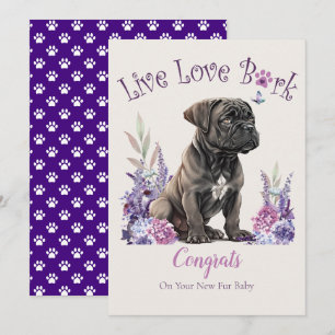 Cane Corso Dog Adoption, Gotcha Tag Karte