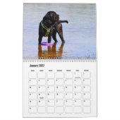 Cane Corso Dog Calendar Kalender (Jan 2027)