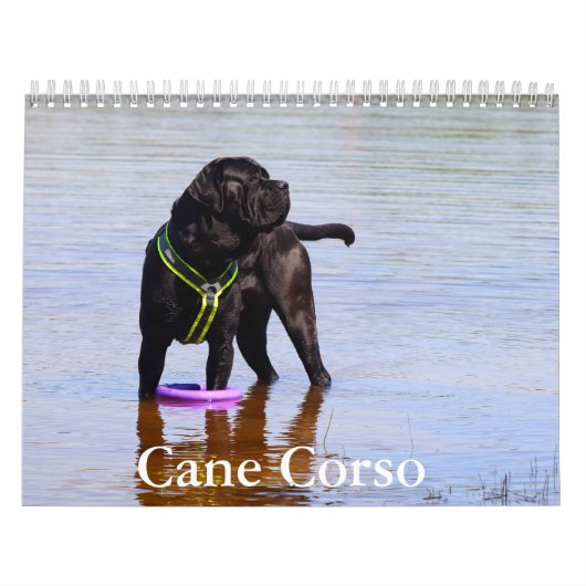 Cane Corso Dog Calendar Kalender (Titelbild)