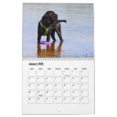 Cane Corso Dog Calendar Kalender (Jan 2026)