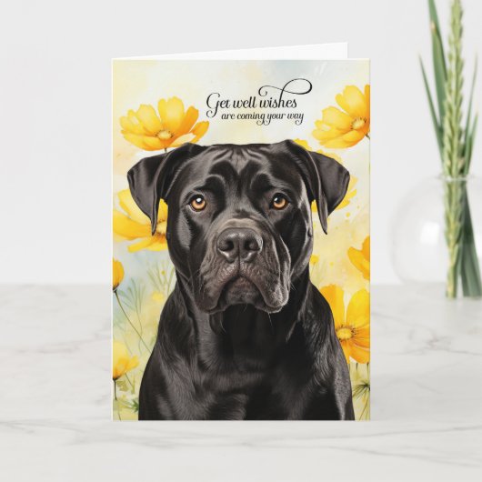 Cane Corso Dog Golden Poppies Get Well Karte (Vorderseite)