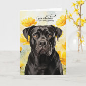 Cane Corso Dog Golden Poppies Get Well Karte (Gelbe Blume)