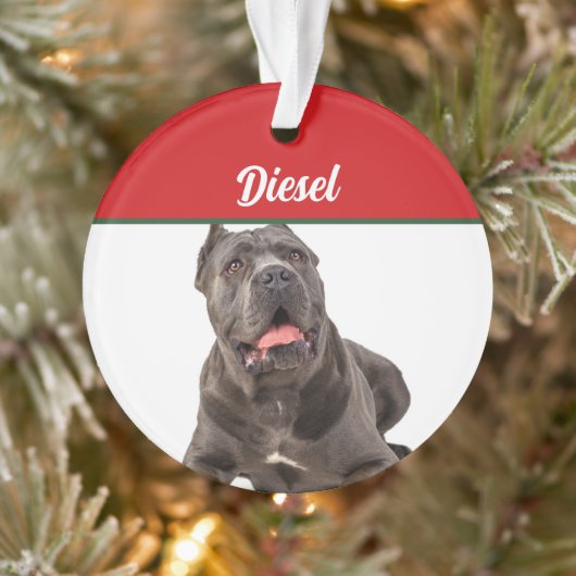 Cane Corso Dog Holiday Foto Weihnachten Ornament (Baum)