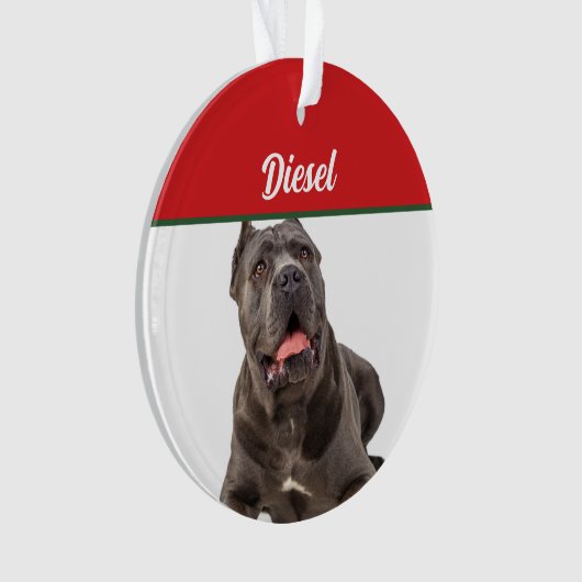 Cane Corso Dog Holiday Foto Weihnachten Ornament (Vorderseite)