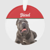 Cane Corso Dog Holiday Foto Weihnachten Ornament (Vorderseite)