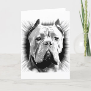 Cane Corso Dog Karte