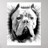 Cane Corso Dog Poster (Vorne)