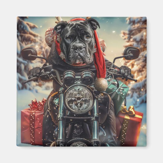 Cane Corso Dog Riding Motorrad Weihnachten Magnet (Vorne)