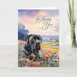 Cane Corso Dog Wildflowers Scenic Vista Miss You Karte