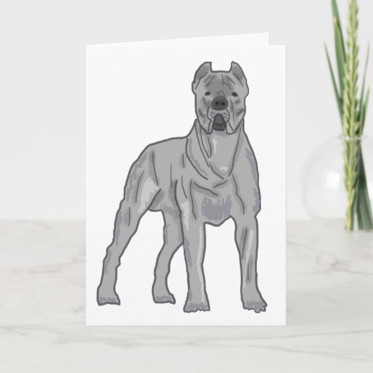 Cane Corso Feiertagskarte (Vorderseite)