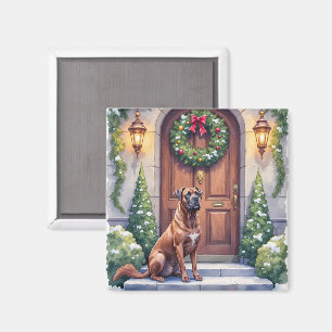 Cane Corso Große Tür Immergrüne Weihnachtskunst Magnet