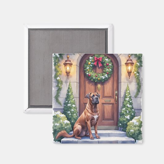 Cane Corso Große Tür Immergrüne Weihnachtskunst Magnet (Vorderseite/Rückseite)