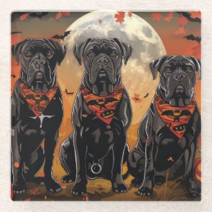 Cane Corso Halloween Spooky Glasuntersetzer