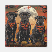 Cane Corso Halloween Spooky Magnet (Vorne)