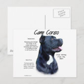 Cane Corso History Postkarte (Vorne/Hinten)