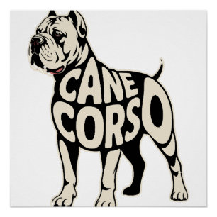 Cane Corso Hund Fette Schriftzug Kunst Poster