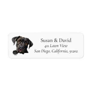 Cane Corso Hund Rasse Heimtiere Liebhaber