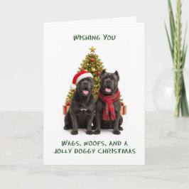 Cane Corso Hunde Weihnachten