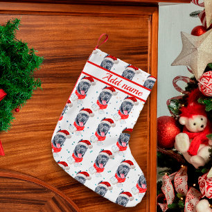 Cane Corso Hunderasse Weihnachtssterne Kleiner Weihnachtsstrumpf