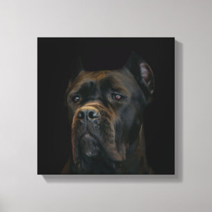 Cane Corso - Italienischer Mastiff Leinwanddruck