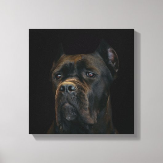 Cane Corso - Italienischer Mastiff Leinwanddruck (Vorderseite)