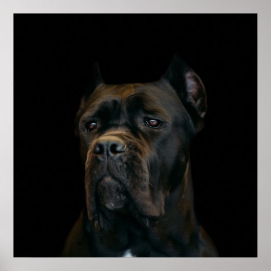Cane Corso - Italienischer Mastiff Poster (Vorne)