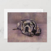 Cane Corso - Italienischer Mastiff Puppy Postkarte (Vorne/Hinten)