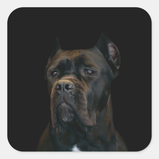 Cane Corso - Italienischer Mastiff Quadratischer Aufkleber (Vorderseite)